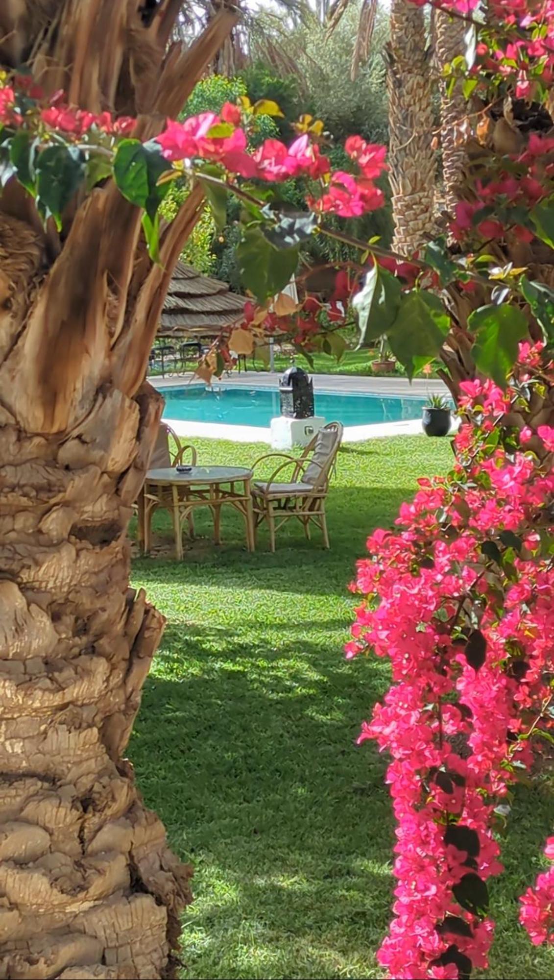 Goulmima Maison D Hote Ighrem מראה חיצוני תמונה