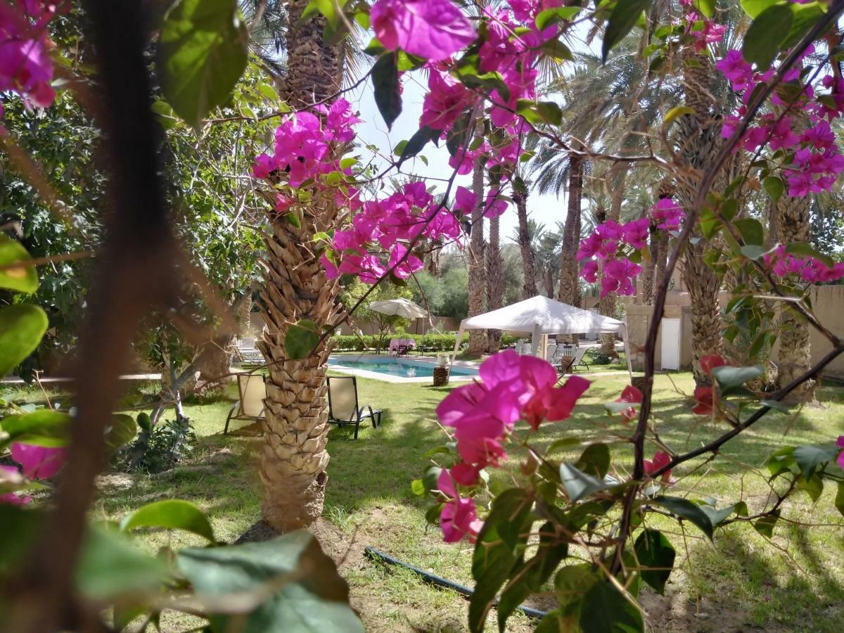 Goulmima Maison D Hote Ighrem מראה חיצוני תמונה